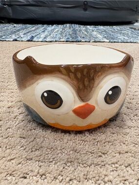 Whimsical Owl Ceramic Serving or Candy Bowl